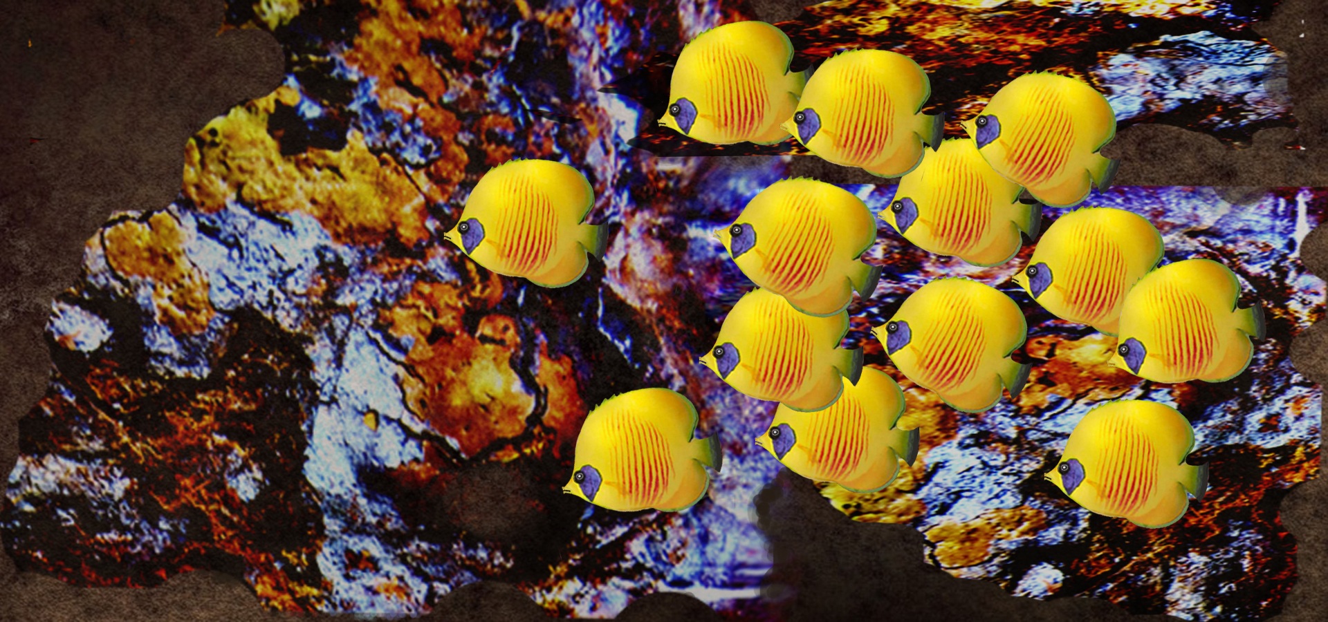 Peces en arrecife coral